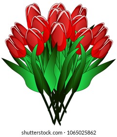 beautiful red tulips