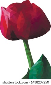 Beautiful red vector polygon tulip