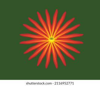 Beautiful red and yellow flower on green background