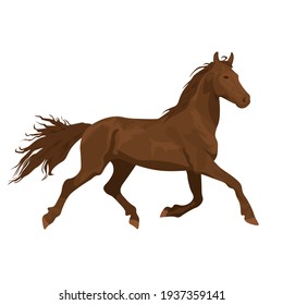 hermoso caballo de pelo rojo. caballo marrón sobre un fondo blanco. Cabalgatas. granja. tarjeta de poster con caballos