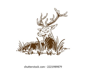 Beautiful Reindeer Hand Drawn Laying Down On The Grass Cervid Deer Illustration Vector Drawing