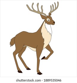 
Beautiful reindeer with large antlers.