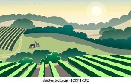 Beautiful relaxing rural vinery landscape with horses vector illustration