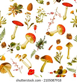 Beautiful repeated Seamless autumn forest theme pattern with another floral and mushrooms image assets, fall, t-shirts, texture perfect for mugs, fabrics, packaging, POD etc free Vector illustration