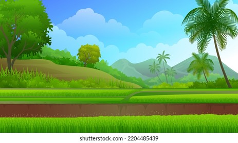 Beautiful rice field terraces with nature rural landscape, mountain and tropical forest vector illustration