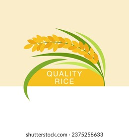 Beautiful rice paddy vector design
