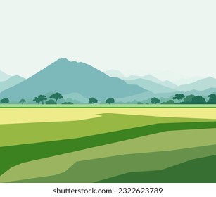 Beautiful ricefield landscape with mountains vector illustration