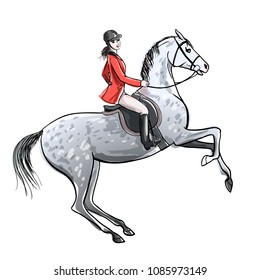 Beautiful rider and dapple grey horse on white. Horseman girl in red jacket on rearing up stallion. England equestrian sport style. Hand drawing vector cartoon illustration.