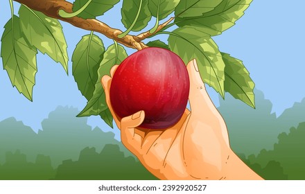 Beautiful ripe apple on a tree branch. Apple farm. Harvesting. Home gardening. Vector illustration. 