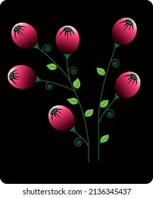 Beautiful ripe berries on a black background. Vector file.