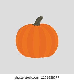 A beautiful ripe pumpkin vector artwork