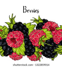 Beautiful ripe raspberry and blackberry. Vector illustration. Berries and fruits, summer. Wreath. 