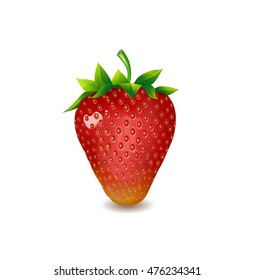 Beautiful ripe red strawberries with green leaves on a white background. Vector illustration.
