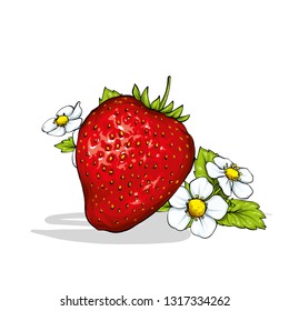 Beautiful ripe strawberry. Vector illustration. Berries and fruits, summer. 