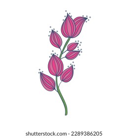 Beautiful romantic botanical collection with flowers, leaves, floral bouquets, flower compositions.