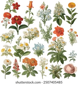 Beautiful romantic flower collection with roses, leaves, floral bouquets, flower compositions.