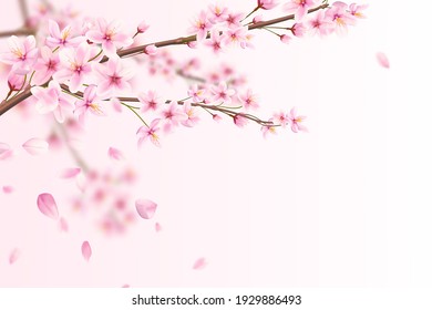 Beautiful Romantic Illustration Of Pink Sakura Flowers With Falling Petals.