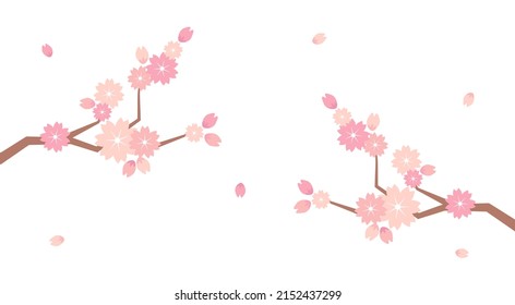 Beautiful romantic illustration of pink sakura flowers with falling petals. Japanese Cherry blossom. Floral banner with delicate sakura flowers. Falling petals, flowers.