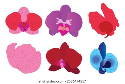 Beautiful romantic orchid flower vector icon set illustration. Purple color orchid.