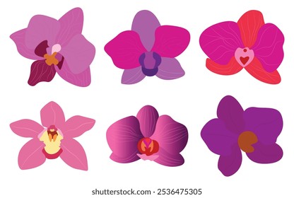 Beautiful romantic orchid flower vector icon set illustration. Purple color orchid.