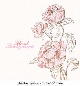 Beautiful romantic peonies
