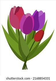 Beautiful romantic vector tulip flower 