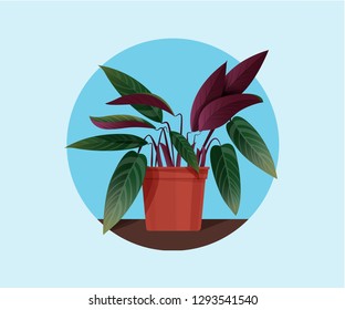 Beautiful room flower