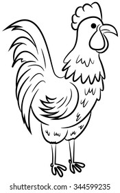 Beautiful rooster isolated on white background