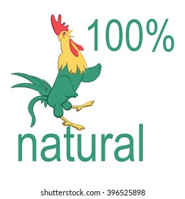 Beautiful rooster isolated on the white background. Vector illustration.
