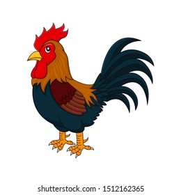 Beautiful rooster with modern design template concept for any use. Trendy vector illustration