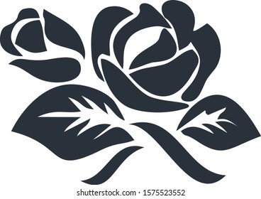 Beautiful rose with black collor