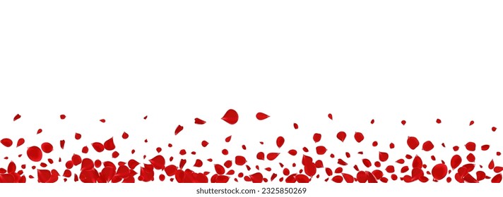 Beautiful Rose Blur Vector Panoramic White Background. Beauty Cherry Design. Red Lotus Tender Wallpaper. Delicate Floral Falling Backdrop.