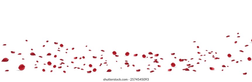 Beautiful Rose Blur Vector Panoramic Background. Beauty Cherry Design. Red Lotus Tender Wallpaper