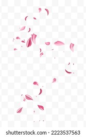 Beautiful Rose Blur Vector Transparent Background. Japan Lotus Banner. Delicate Cherry Beauty Texture. Red Blossom Flying Cover.