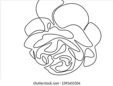 Beautiful rose continuous line drawing