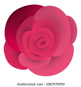 beautiful rose flower decorative