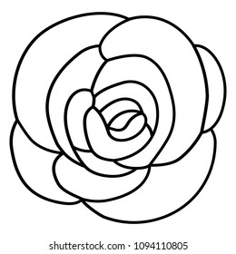 beautiful rose flower decorative