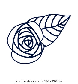beautiful rose flower and leafs decoration vector illustration design