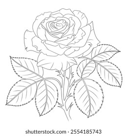 a beautiful rose flower line art coloring page 