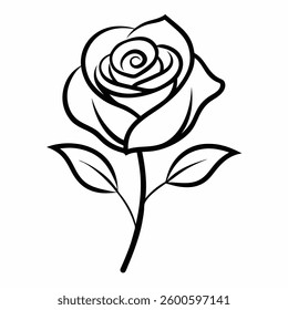 beautiful rose flower line art on white