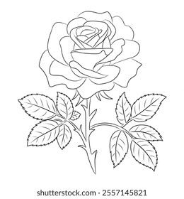 A beautiful rose flower line drawing colouring page