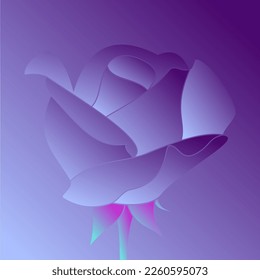beautiful rose flower vector in elegant and luxury style
