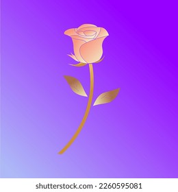beautiful rose flower vector in elegant and luxury style