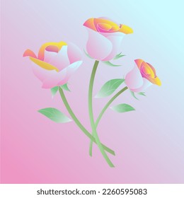 beautiful rose flower vector in elegant and luxury style