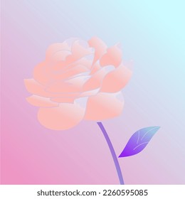 beautiful rose flower vector in elegant and luxury style