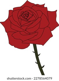 a beautiful rose flower vector outline