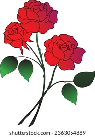 Beautiful rose flower.Multiple roses use for better experience.Green color leaves used for giving it a real vibe.