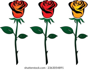 Beautiful rose flower.Multiple roses use for better experience.Green color leaves used for giving it a real vibe.