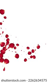 Beautiful Rose Flying Vector White Background. Blur Cherry Design. Delicate Blossom Fly Illustration. Red Peach Japanese Poster.