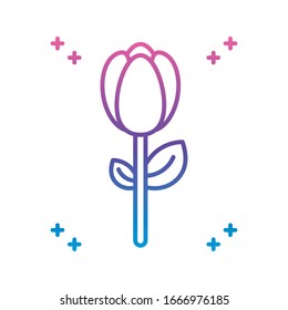beautiful rose icon over white background, gradient line style, vector illustration